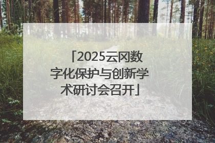 2025云冈数字化保护与创新学术研讨会召开