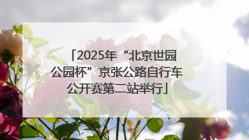 2025年“北京世园公园杯”京张公路自行车公开赛第二站举行