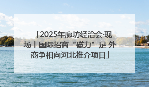 2025年廊坊经洽会·现场丨国际招商“磁力”足 外商争相向河北推介项目