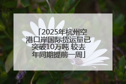 2025年杭州空港口岸国际货运量已突破10万吨 较去年同期提前一周