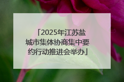 2025年江苏盐城市集体协商集中要约行动推进会举办