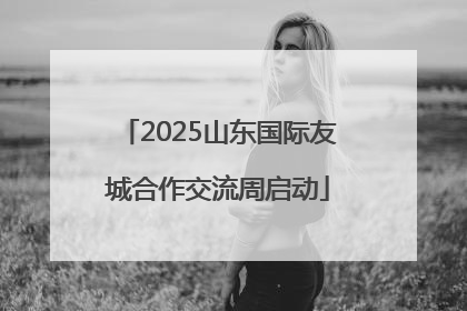 2025山东国际友城合作交流周启动
