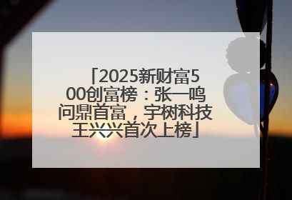 2025新财富500创富榜：张一鸣问鼎首富，宇树科技王兴兴首次上榜