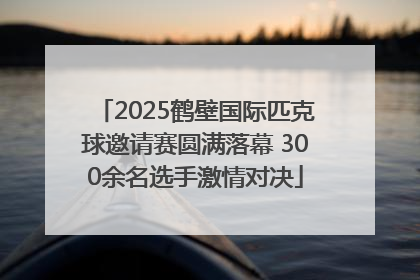 2025鹤壁国际匹克球邀请赛圆满落幕 300余名选手激情对决