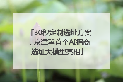 30秒定制选址方案，京津冀首个AI招商选址大模型亮相