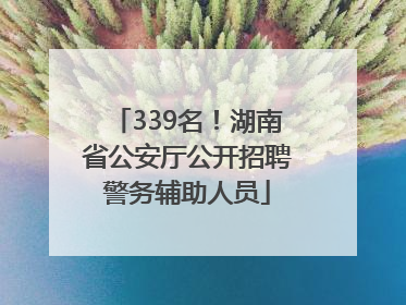 339名！湖南省公安厅公开招聘警务辅助人员