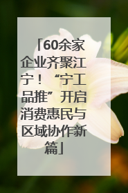 60余家企业齐聚江宁！“宁工品推”开启消费惠民与区域协作新篇