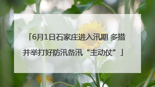 6月1日石家庄进入汛期 多措并举打好防汛备汛“主动仗”
