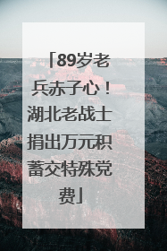 89岁老兵赤子心！湖北老战士捐出万元积蓄交特殊党费