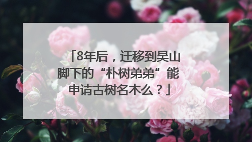 8年后，迁移到吴山脚下的“朴树弟弟”能申请古树名木么？