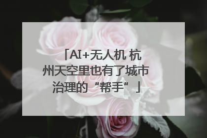 AI+无人机 杭州天空里也有了城市治理的“帮手”