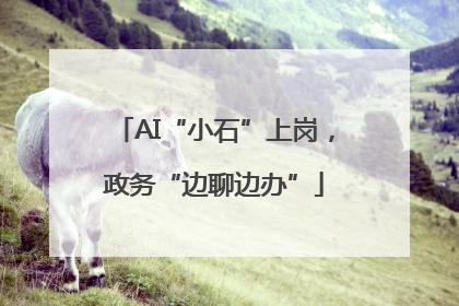 AI“小石”上岗，政务“边聊边办”