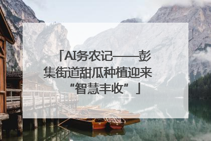 AI务农记——彭集街道甜瓜种植迎来“智慧丰收”
