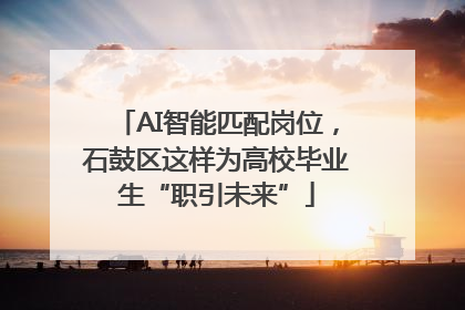 AI智能匹配岗位，石鼓区这样为高校毕业生“职引未来”