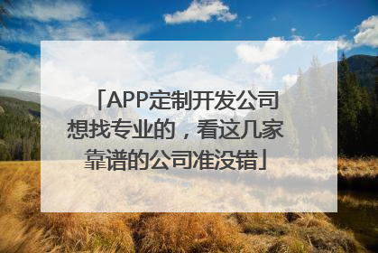 APP定制开发公司想找专业的，看这几家靠谱的公司准没错