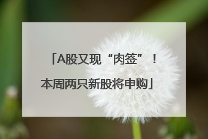 A股又现“肉签”！本周两只新股将申购