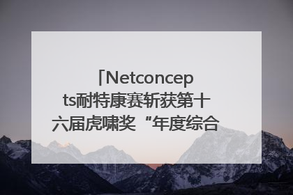 Netconcepts耐特康赛斩获第十六届虎啸奖“年度综合服务商”大奖
