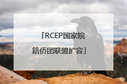 RCEP国家皖籍侨团联盟扩容