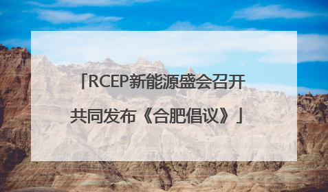 RCEP新能源盛会召开 共同发布《合肥倡议》